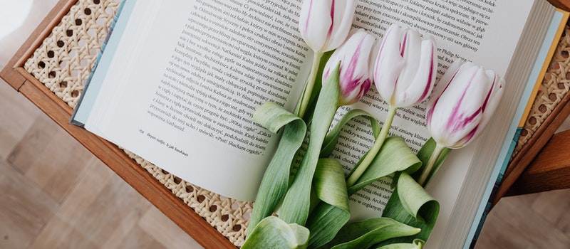 成考和自考到底哪個更好?