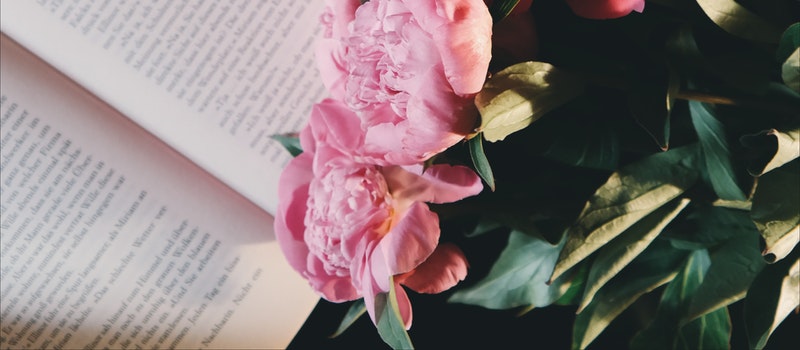 自學(xué)考試什么時(shí)候報(bào)名最好?