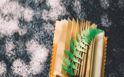 四川外國(guó)語(yǔ)大學(xué)自考專(zhuān)升本官網(wǎng)報(bào)名入口